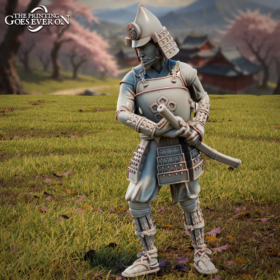 Ashigaru Captain