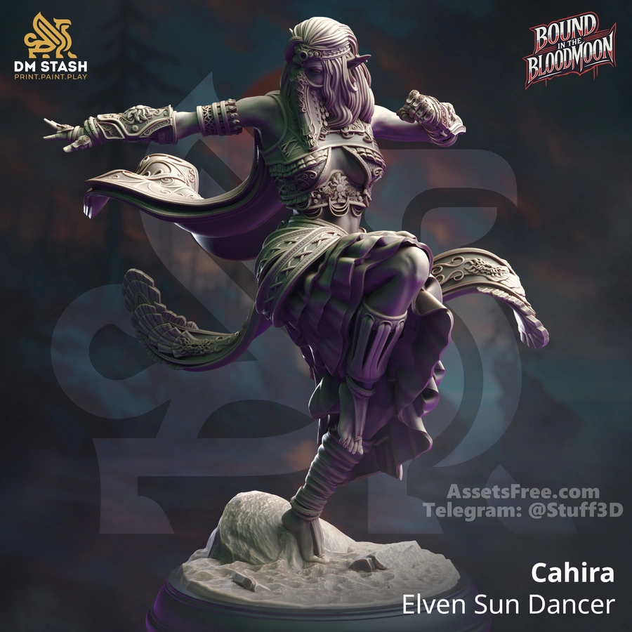 Cahira - Elven Sun Dancer