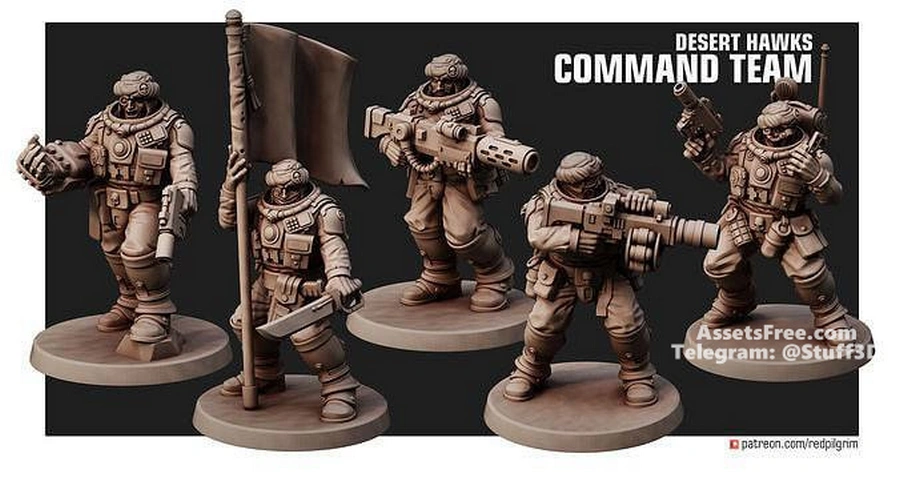 DESERT HAWKS COMMAND SQUAD