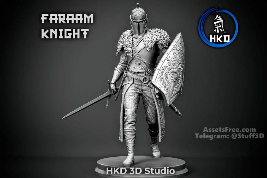 Dark Souls - Faraam knight