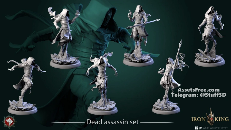 Dead assassin