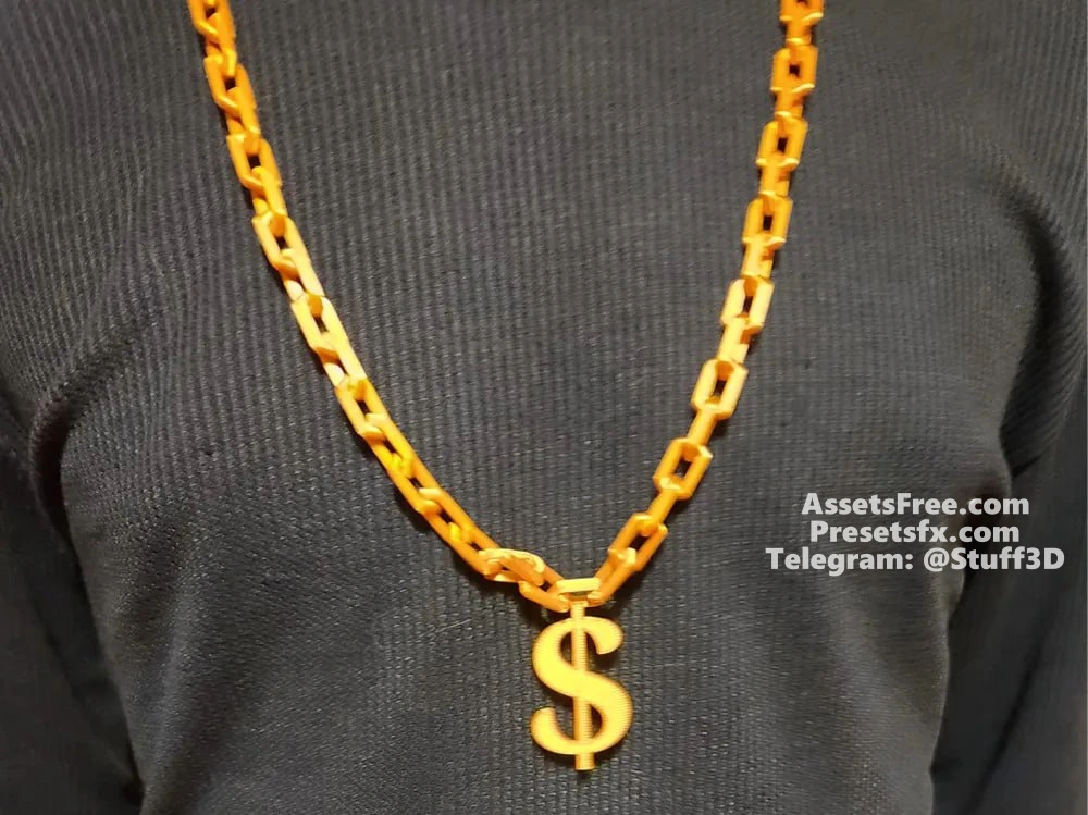 Gold Money Chain