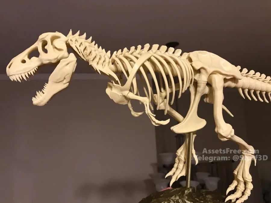 T-Rex skeleton