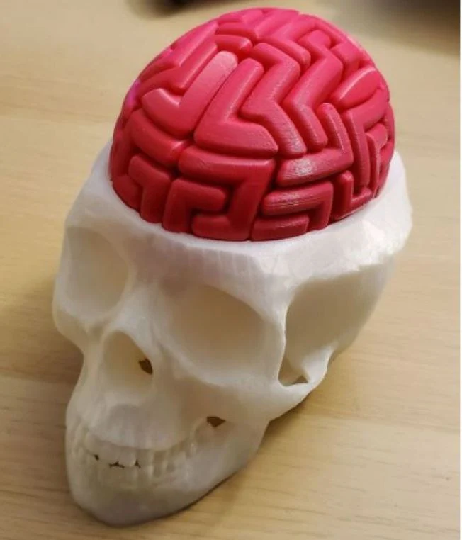 Dr Brain