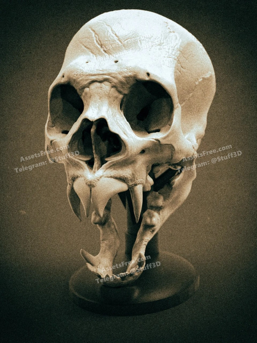 Vampire Skull