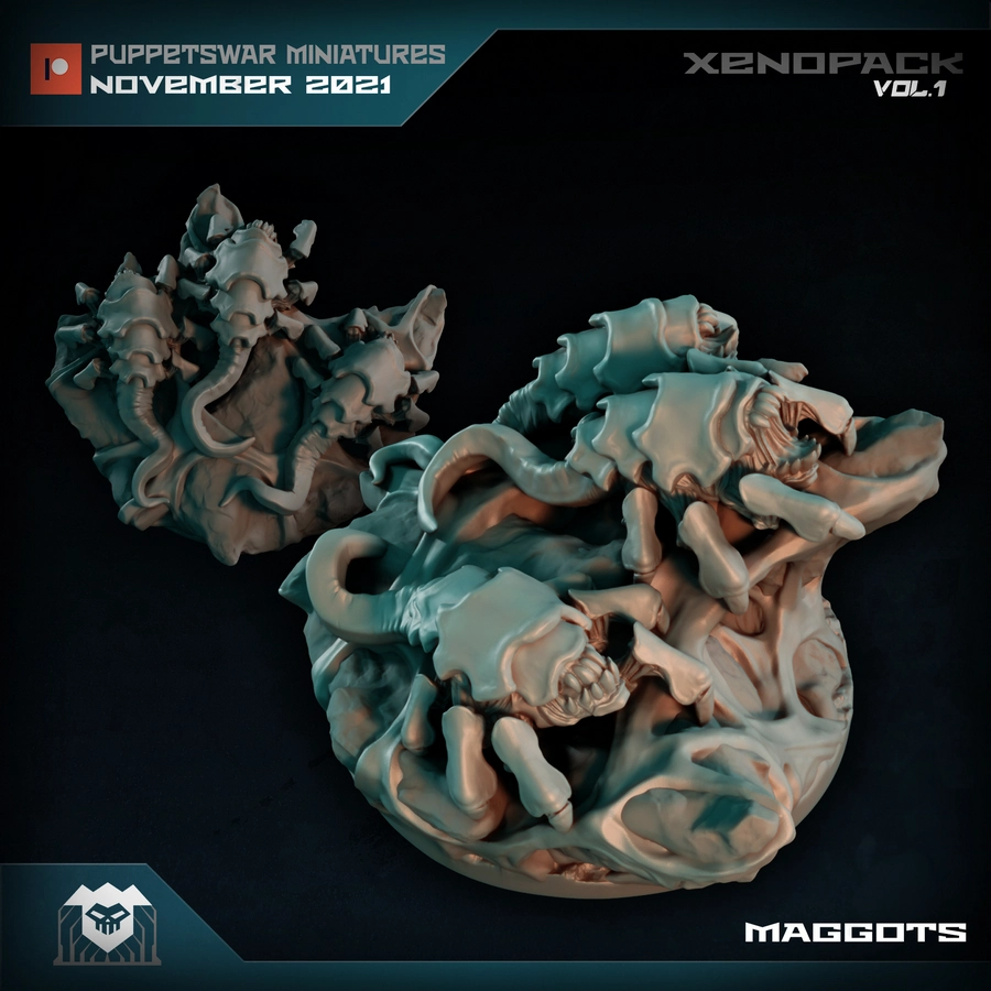 Maggots