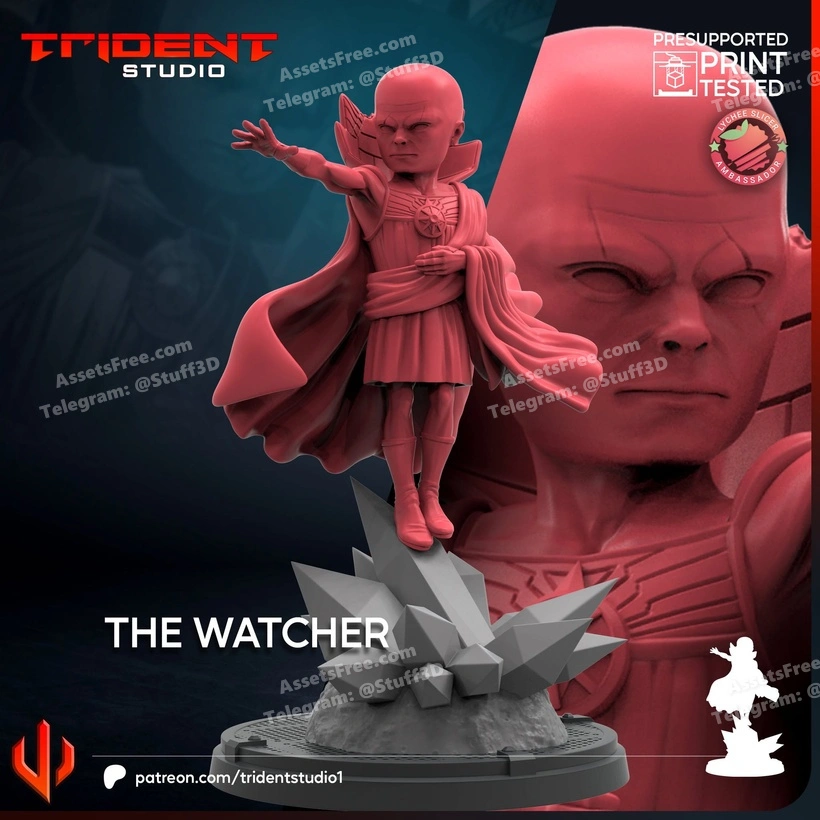 THE WATCHER