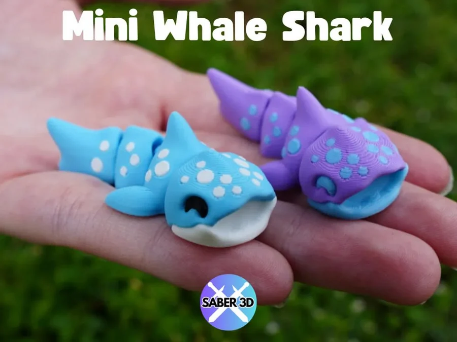 Whale Shark 3