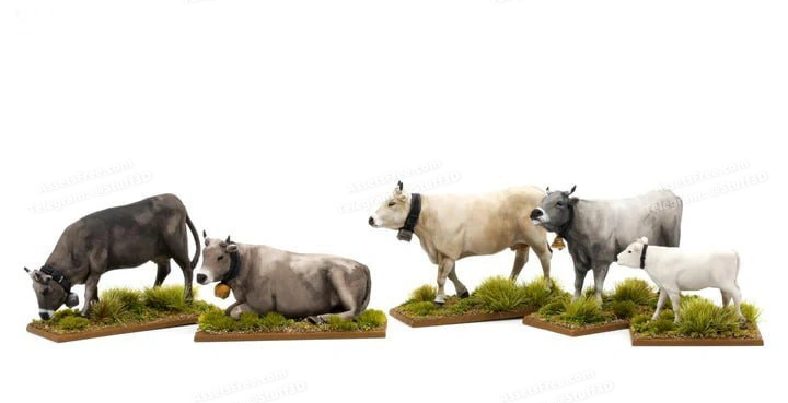 Cows