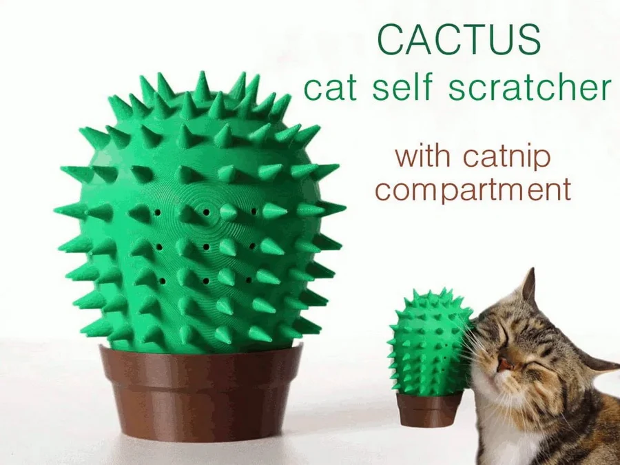 Cactus