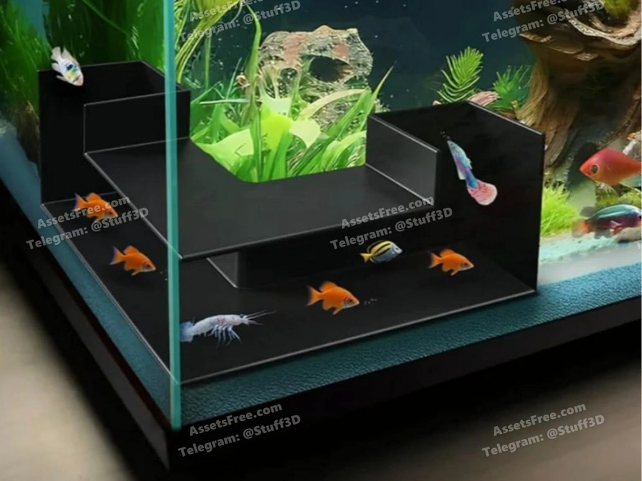 Independent Entrance Channels for Fish Tank