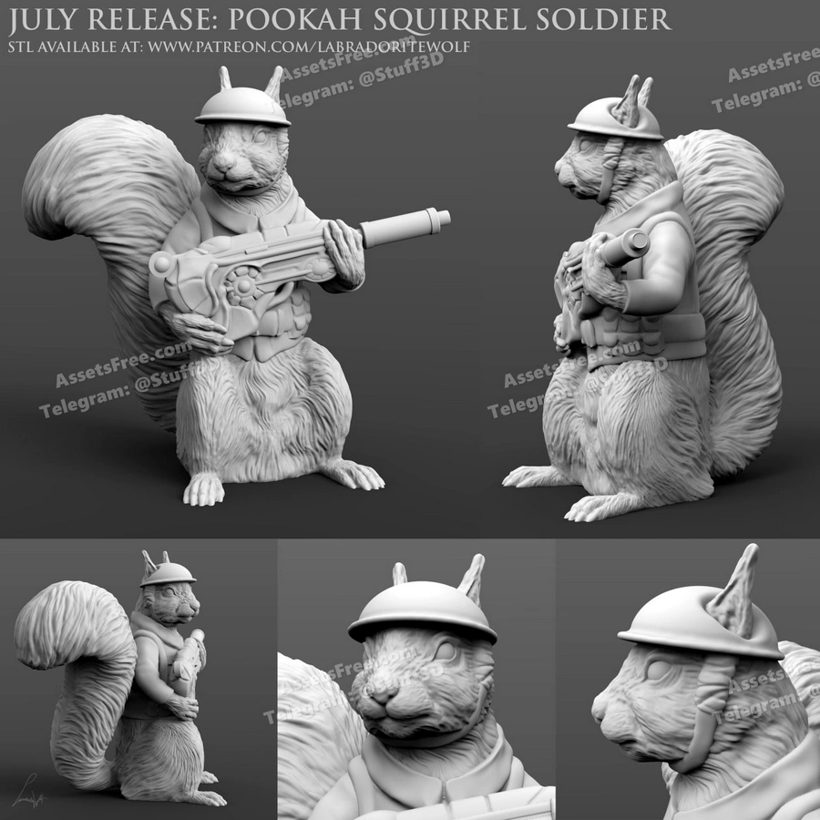Pookah Squirrel Soldier