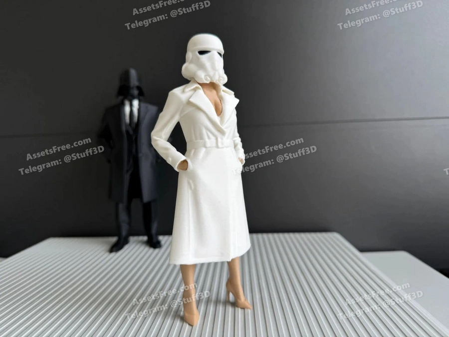 Trooper Secretary – gift mistery