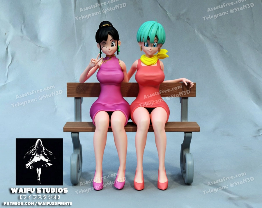 Dragon Ball – Bulma and Chi-Chi