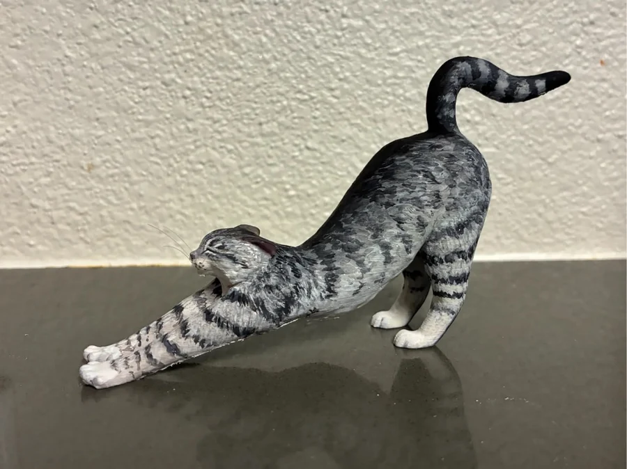 Сat stretching