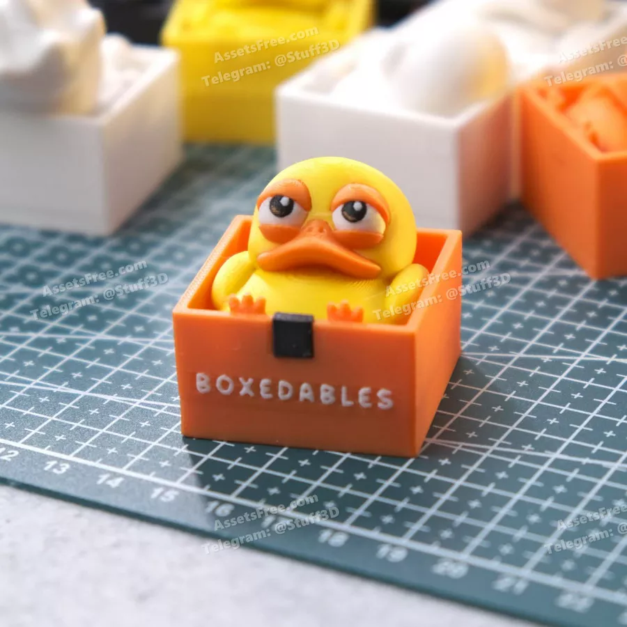 Duck – Boxedables