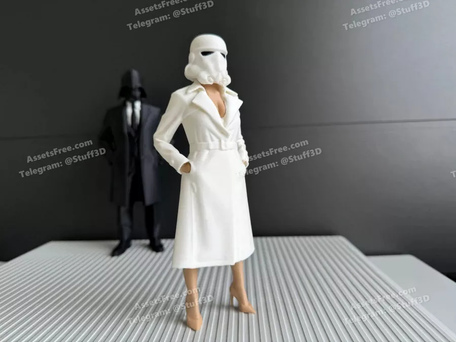 Trooper Secretary – gift mistery