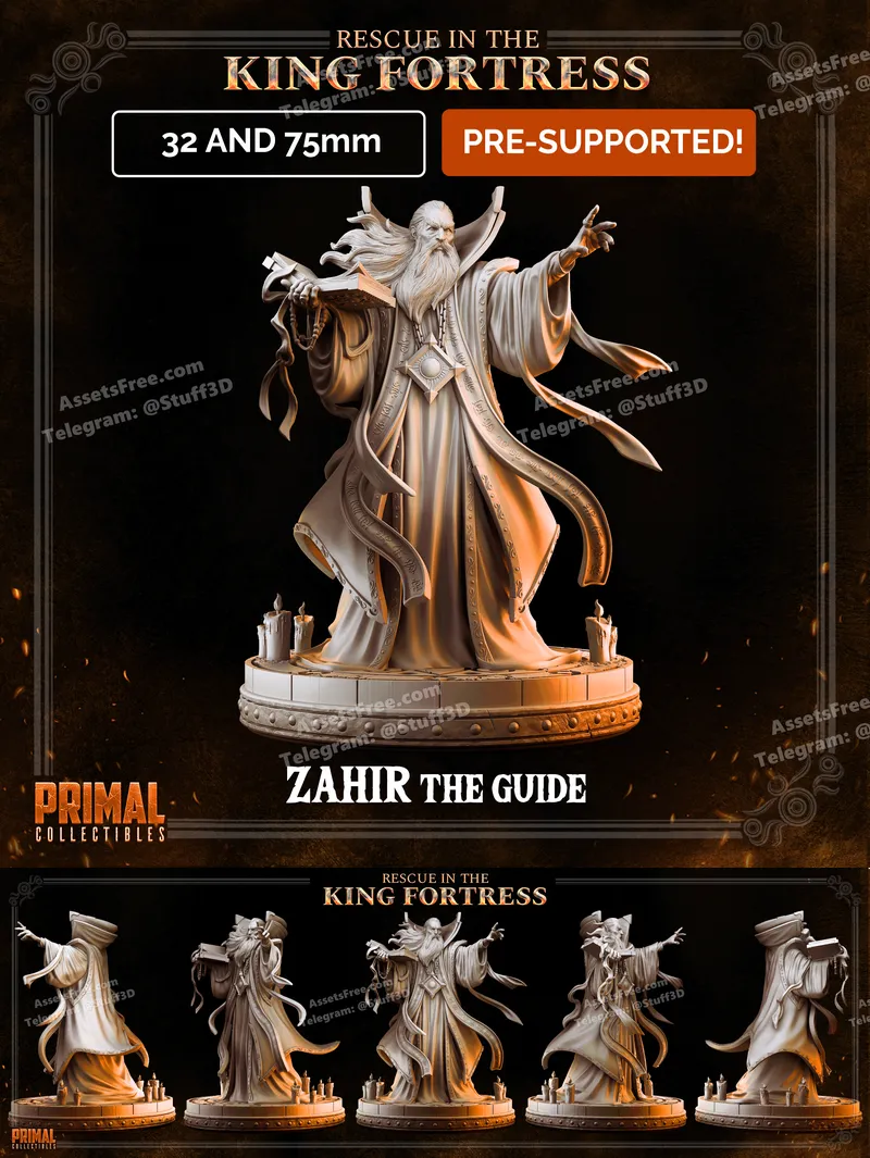 ZAHIR THE GUIDE