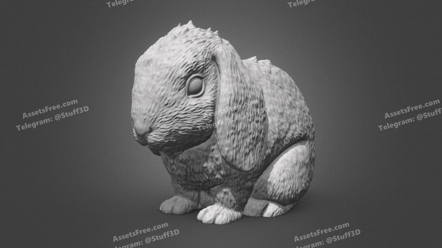 Rabbit