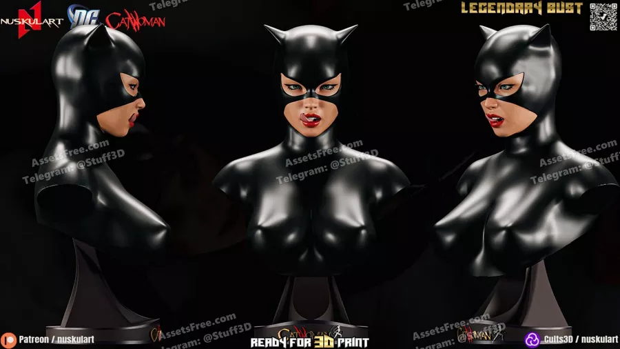 Catwoman – Dc Universe