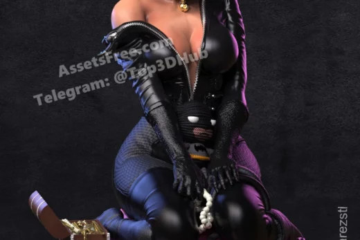 Catwoman soarez stl