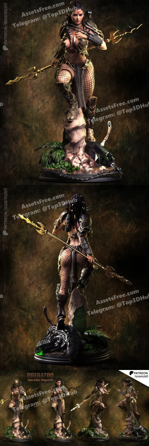 Machiko noguchi stl soarez