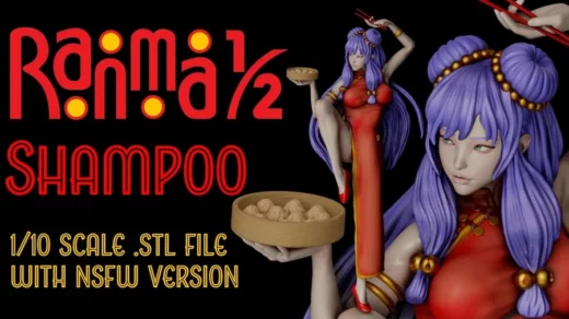Shampoo ranma @top3dhub