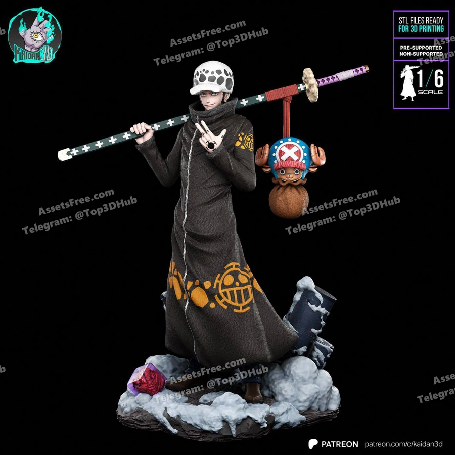 Trafalgar law & chopper