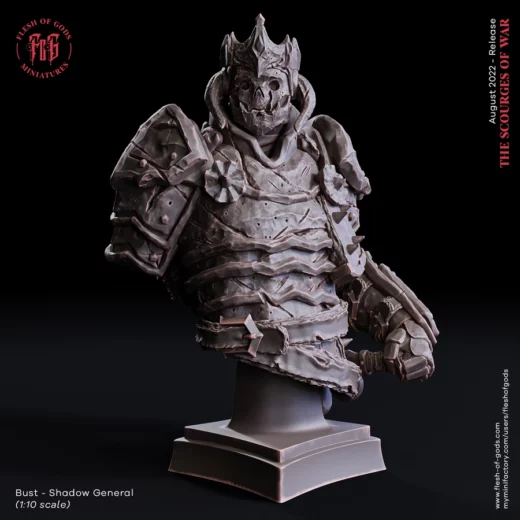 bust – shadow general - 3D model for printing | AssetsFree.com