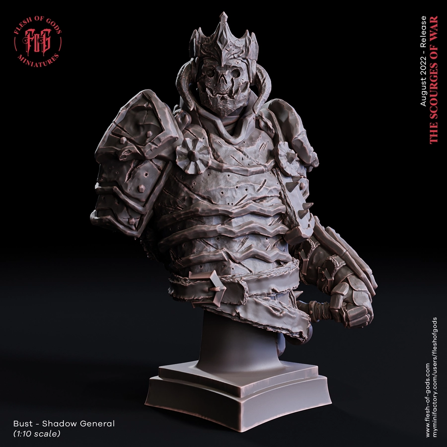 bust – shadow general - 3D model for printing | AssetsFree.com