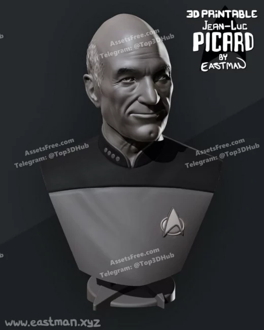 eastman – picard bust - 3D model for printing | AssetsFree.com