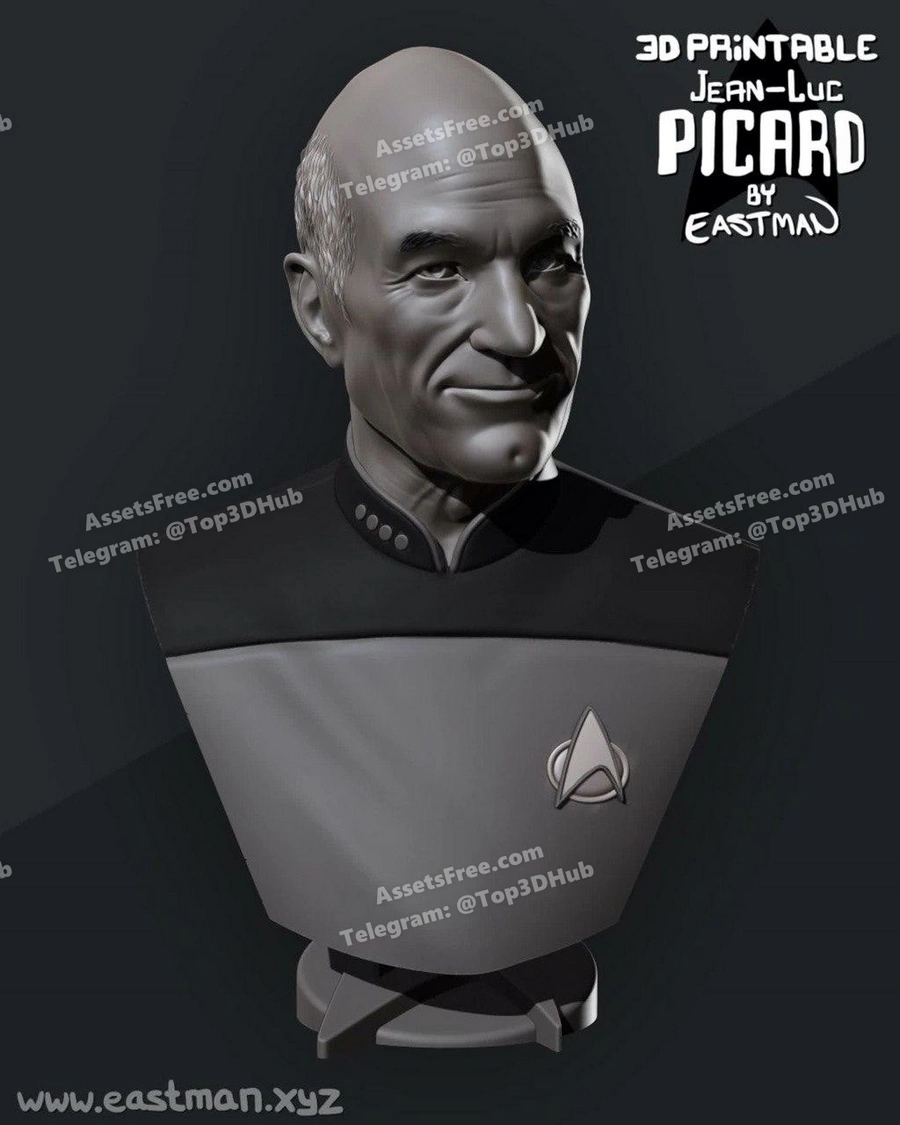 eastman – picard bust - 3D model for printing | AssetsFree.com