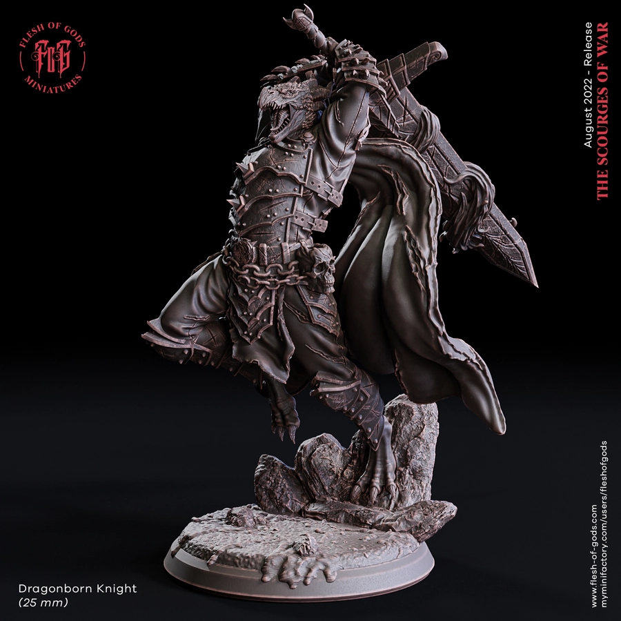 hero – dragonborn knight 25 mm - 3D model for printing | AssetsFree.com