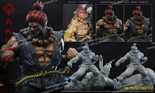 street fighter – akuma – stlproject - 3D model for printing | AssetsFree.com