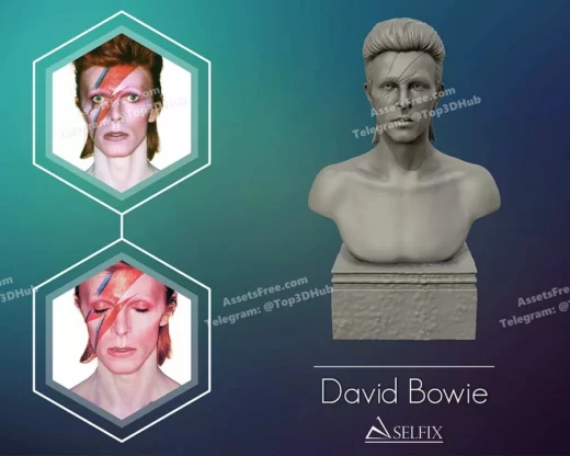 David bowie bust