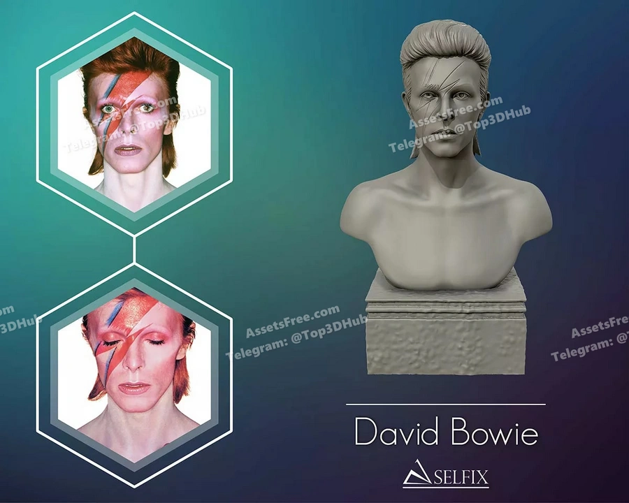 David bowie bust