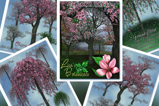 Lisa’s botanicals cherry trees