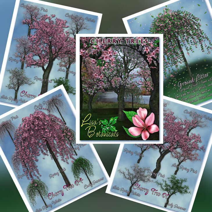Lisa’s Botanicals Cherry Trees – STL 3D Print Model | AssetsFree.com Lisa’s botanicals cherry trees