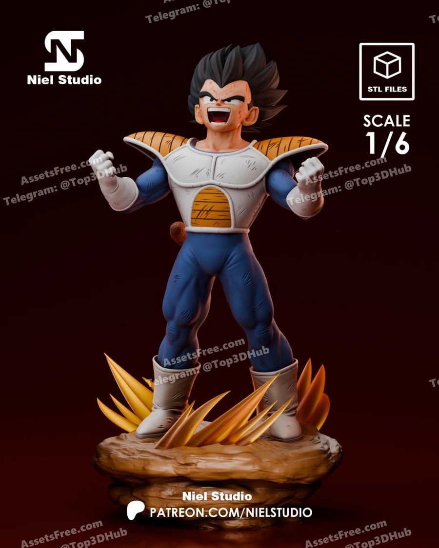 Niel studio vegetastandard and premium