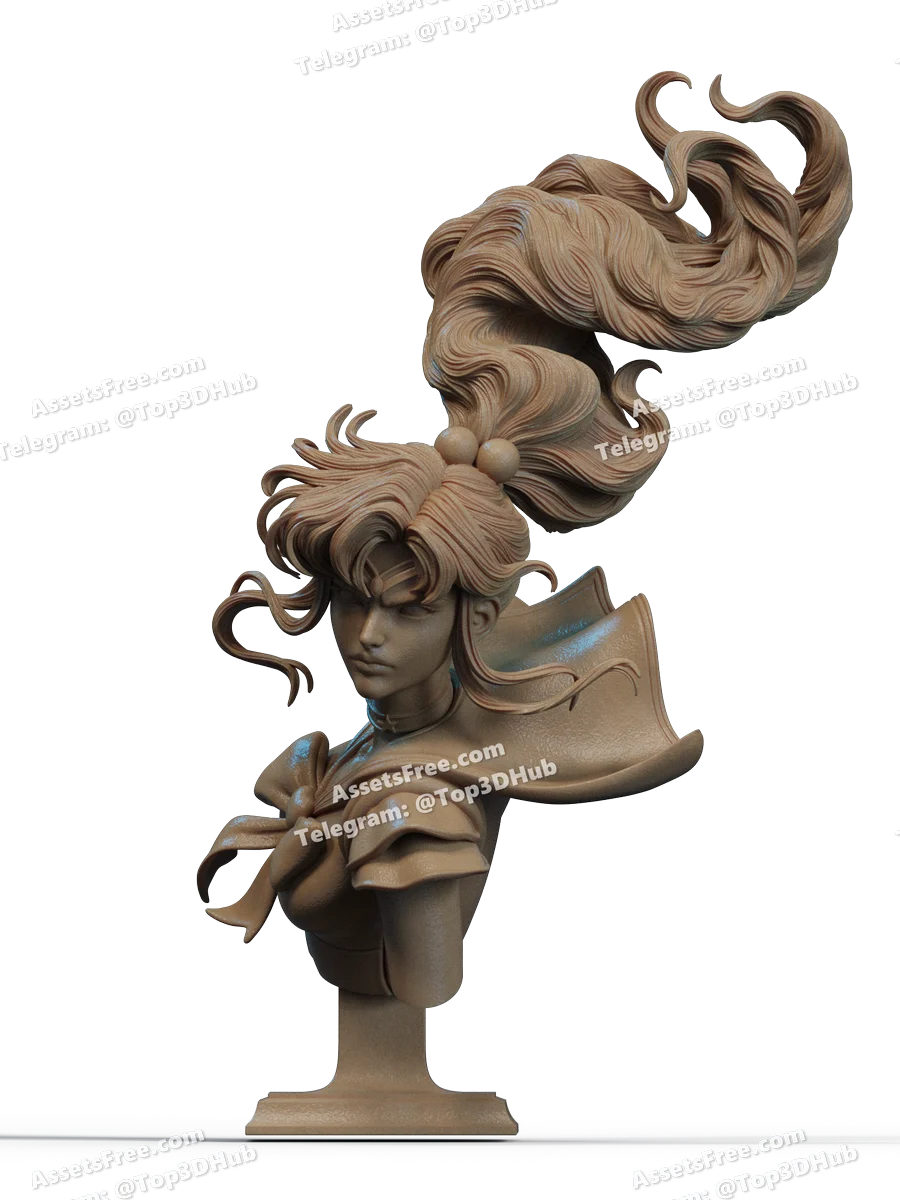 Stl makoto kino bust