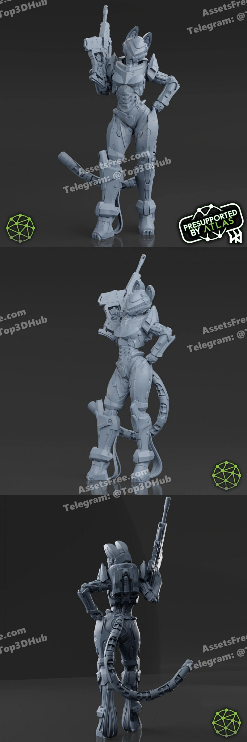 Atlas 3DSS – Kitcat – STL 3D Print Model | AssetsFree.com Atlas 3dss kitcat