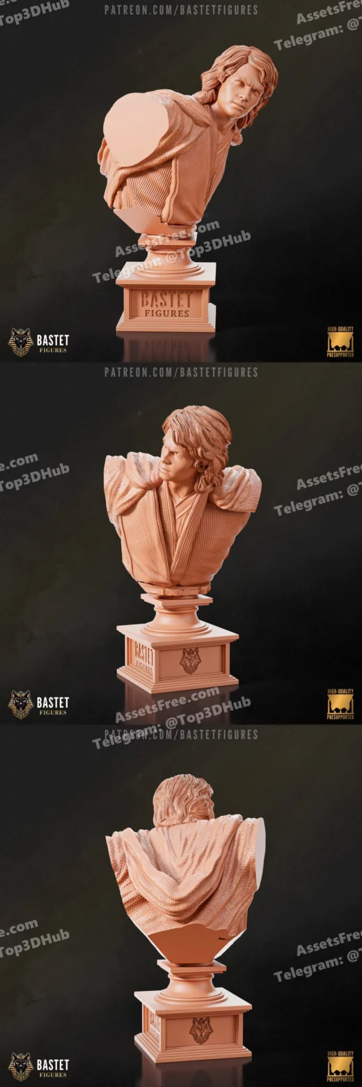 Bastet figures star wars anakin skywalker anakin bust