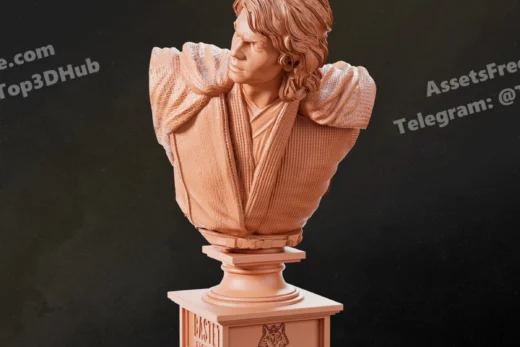 Bastet figures star wars anakin skywalker anakin bust