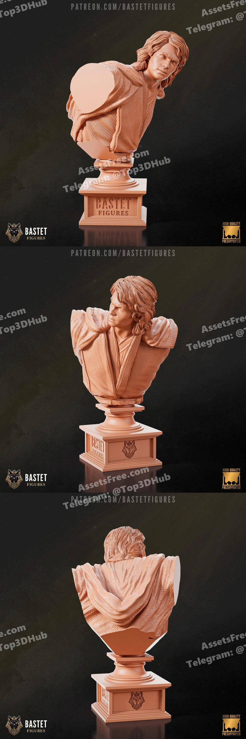 Bastet Figures – Star Wars – Anakin Skywalker – Anakin Bust – STL 3D Print Model | AssetsFree.com Bastet figures star wars anakin skywalker anakin bust