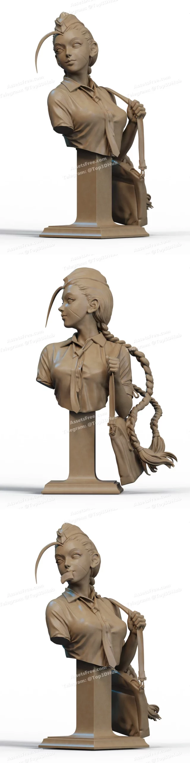 Cammy Highschool – STL 3D Print Model | AssetsFree.com Cammy highschool