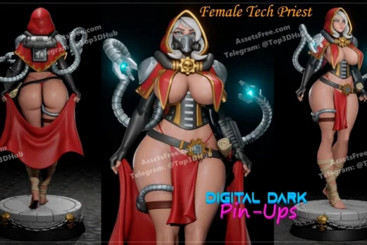 Deviant+female+tech+priest+pack