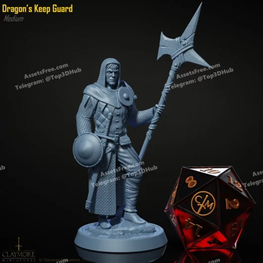 Dragon's keep guard
