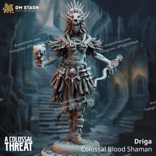 Driga colossal blood shaman