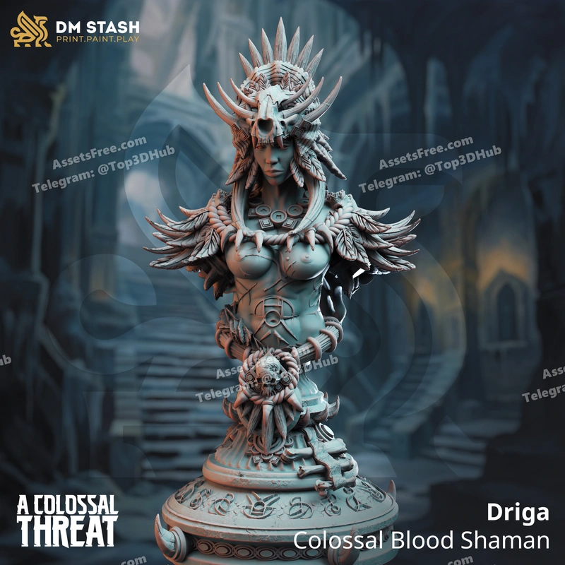 Driga female colossal blood mage bust