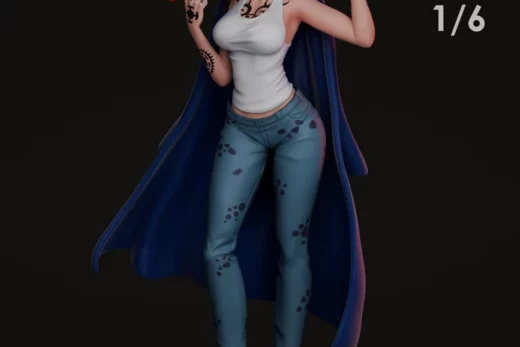 Niel studio one piece law girl